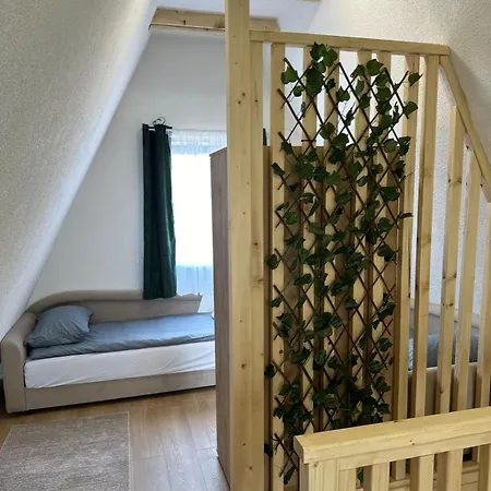 Ammirevole Ravne Oga