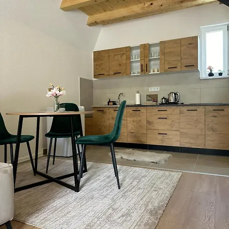 Ammirevole Ravne Oga Apartament